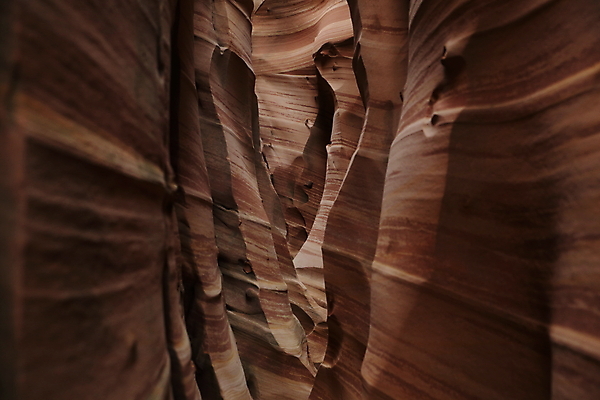 포토 JPG 해외이미지 모래 벽 파도 패턴 오렌지 자연 산 건조 풍경 사람없음 빨간색 파란색 계단 골짜기 미국 고요 줄무늬 사막 바위 개울 동굴 부식 질감 롤 좁은 얼룩말 사암 내추럴 서쪽 전국 해외202105 해외포토 바다 컬러 북아메리카 무늬 과일 강 돌_바위 말_동물 방향 생태계 파일형식