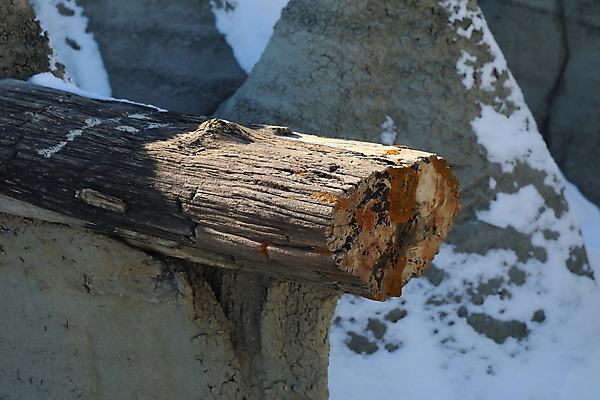 포토 JPG 해외이미지 구름 여행 자연 벽지 하늘 건조 풍경 사람없음 야외 가로 빨간색 컬러풀 검은색 미국 버섯 침묵 고요 황혼 하이킹 사막 바위 황무지 장면 사암 뉴멕시코 특별함 해외202105 해외포토 자연요소 컬러 컨셉 북아메리카 레저 소리 일몰 돌_바위 생태계 파일형식