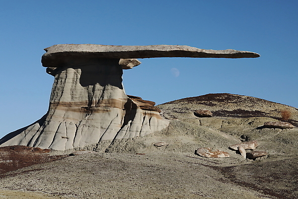 포토 JPG 해외이미지 구름 모래 여행 날개 자연 하늘 새로움 멕시코 건조 풍경 사람없음 야외 파란색 갈색 미국 사막 황무지 균열 균형 왕 부식 공룡 사암 멀리 뉴멕시코 옛날 지질학 특별함 해외202105 해외포토 자연요소 교육 컬러 컨셉 북아메리카 파충류 모션 돌_바위 생태계 파일형식