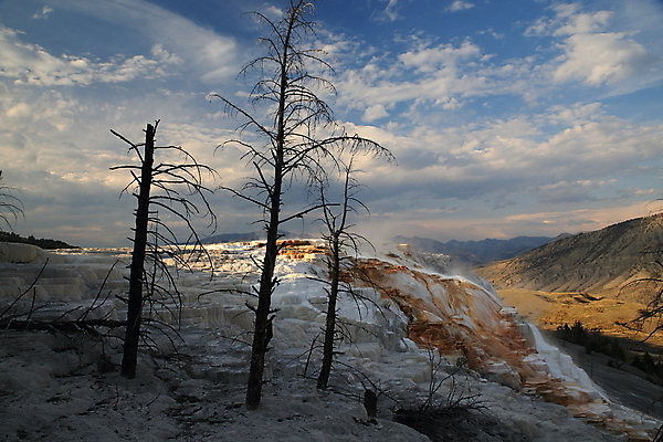 포토 JPG 해외이미지 공원 여행 오렌지 자연 산 풍경 사람없음 야외 물 여름 갈색 노란색 환경 골짜기 계곡 미국 페인트 봄 폭포 뜨거움 팔레트 화산 장면 지역 암초 멸종위기동물 내추럴 매머드 생태학 오아시스 와이오밍 전국 지열 지진 해외202105 해외포토 자연요소 동물 계절 공공시설 교육 컬러 북아메리카 과일 자연재해 생태계 파일형식 멸종위기종