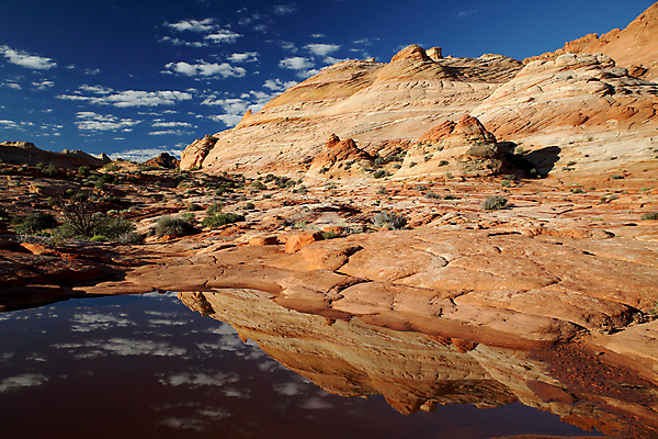 포토 JPG 해외이미지 파도 패턴 오렌지 건조 풍경 사람없음 야외 가로 빨간색 파란색 컬러풀 반사 노란색 계단 골짜기 미국 바위 시골 황무지 부식 호기심 사암 애리조나 천연기념물 서쪽 전국 지질학 통일 특별함 해외202105 해외포토 교육 감정 바다 컬러 컨셉 북아메리카 무늬 과일 자연 돌_바위 방향 파일형식