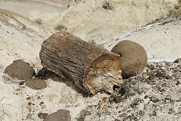 포토 JPG 해외이미지 구름 자연 벽지 하늘 풍경 사람없음 야외 가로 빨간색 컬러풀 검은색 미국 버섯 침묵 고요 황혼 하이킹 사막 바위 황무지 장면 사암 뉴멕시코 특별함 해외202105 해외포토 자연요소 컬러 컨셉 북아메리카 레저 소리 일몰 돌_바위 생태계 파일형식