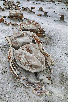 포토 JPG 해외이미지 구름 여행 자연 벽지 하늘 건조 풍경 사람없음 야외 가로 빨간색 컬러풀 검은색 미국 버섯 침묵 고요 황혼 하이킹 사막 바위 황무지 장면 사암 뉴멕시코 특별함 해외202105 해외포토 자연요소 컬러 컨셉 북아메리카 레저 소리 일몰 돌_바위 생태계 파일형식