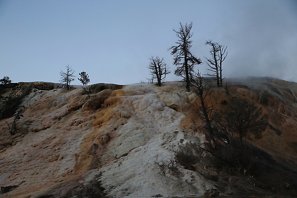 포토 JPG 해외이미지 공원 여행 오렌지 자연 산 풍경 사람없음 야외 물 여름 갈색 노란색 환경 골짜기 계곡 미국 페인트 봄 폭포 뜨거움 팔레트 화산 장면 지역 암초 멸종위기동물 내추럴 매머드 생태학 오아시스 와이오밍 전국 지열 지진 해외202105 해외포토 자연요소 동물 계절 공공시설 교육 컬러 북아메리카 과일 자연재해 생태계 파일형식 멸종위기종