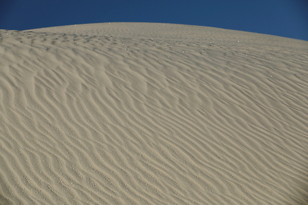포토 JPG 해외이미지 나무 공원 파도 백그라운드 패턴 하늘 산 멕시코 그림자 풍경 사람없음 야외 파란색 모래사장 침묵 사막 성장 뜨거움 모래언덕 속도 흰배경 질감 내추럴 뉴멕시코 벌거벗은 웅장함 잔물결 해외202105 해외포토 식물 공공시설 물결 바다 컬러 북아메리카 무늬 소리 흰색 언덕 파일형식