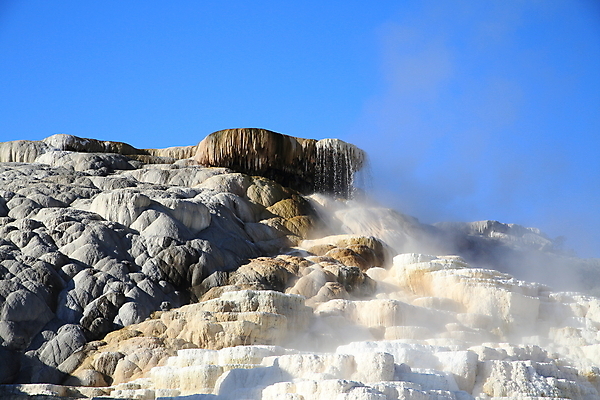 포토 JPG 해외이미지 공원 여행 오렌지 자연 산 풍경 사람없음 야외 물 여름 갈색 노란색 환경 골짜기 계곡 미국 페인트 봄 폭포 뜨거움 팔레트 화산 장면 지역 암초 멸종위기동물 내추럴 매머드 생태학 오아시스 와이오밍 전국 지열 지진 해외202105 해외포토 자연요소 동물 계절 공공시설 교육 컬러 북아메리카 과일 자연재해 생태계 파일형식 멸종위기종