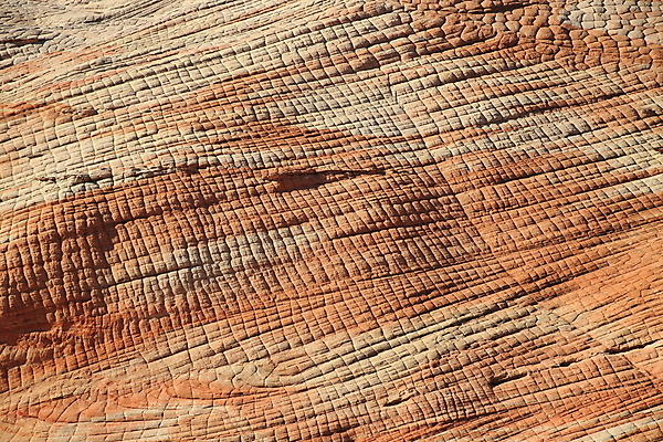 포토 JPG 해외이미지 구름 야생동물 파도 여행 북아메리카 자연 하늘 산 건조 사탕 풍경 사람없음 빨간색 파란색 컬러풀 노란색 일출 미국 절벽 사막 바위 황무지 플랫 언덕 부식 사암 내추럴 고립 취급주의 해외202105 해외포토 자연요소 동물 바다 컬러 디저트 아메리카 경고 노을 돌_바위 생태계 파일형식