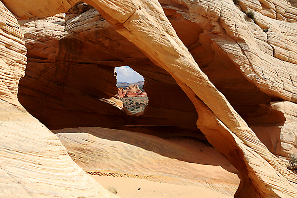 포토 JPG 해외이미지 파도 패턴 오렌지 건조 풍경 사람없음 야외 가로 빨간색 파란색 컬러풀 반사 노란색 계단 골짜기 미국 바위 시골 황무지 부식 호기심 사암 애리조나 천연기념물 서쪽 전국 지질학 통일 특별함 해외202105 해외포토 교육 감정 바다 컬러 컨셉 북아메리카 무늬 과일 자연 돌_바위 방향 파일형식