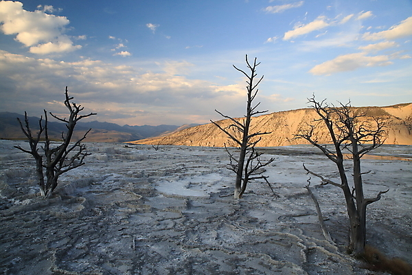 포토 JPG 해외이미지 공원 여행 오렌지 자연 산 풍경 사람없음 야외 물 여름 갈색 노란색 환경 골짜기 계곡 미국 페인트 봄 폭포 뜨거움 팔레트 화산 장면 지역 암초 멸종위기동물 내추럴 매머드 생태학 오아시스 와이오밍 전국 지열 지진 해외202105 해외포토 자연요소 동물 계절 공공시설 교육 컬러 북아메리카 과일 자연재해 생태계 파일형식 멸종위기종