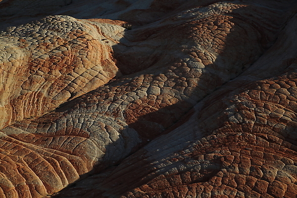 포토 JPG 해외이미지 구름 야생동물 파도 여행 북아메리카 자연 하늘 산 건조 사탕 풍경 사람없음 빨간색 파란색 컬러풀 노란색 일출 미국 절벽 사막 바위 황무지 플랫 언덕 부식 사암 내추럴 고립 취급주의 해외202105 해외포토 자연요소 동물 바다 컬러 디저트 아메리카 경고 노을 돌_바위 생태계 파일형식