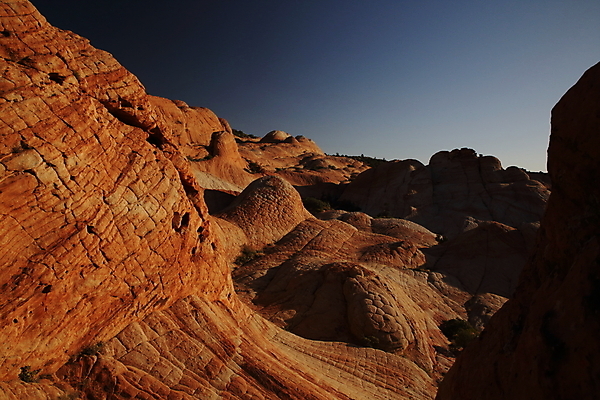 포토 JPG 해외이미지 구름 야생동물 파도 여행 북아메리카 자연 하늘 산 건조 사탕 풍경 사람없음 빨간색 파란색 컬러풀 노란색 일출 미국 절벽 사막 바위 황무지 플랫 언덕 부식 사암 내추럴 고립 취급주의 해외202105 해외포토 자연요소 동물 바다 컬러 디저트 아메리카 경고 노을 돌_바위 생태계 파일형식