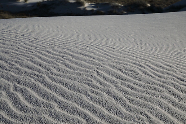 포토 JPG 해외이미지 나무 공원 파도 백그라운드 패턴 하늘 산 멕시코 그림자 풍경 사람없음 야외 파란색 모래사장 침묵 사막 성장 뜨거움 모래언덕 속도 흰배경 질감 내추럴 뉴멕시코 벌거벗은 웅장함 잔물결 해외202105 해외포토 식물 공공시설 물결 바다 컬러 북아메리카 무늬 소리 흰색 언덕 파일형식