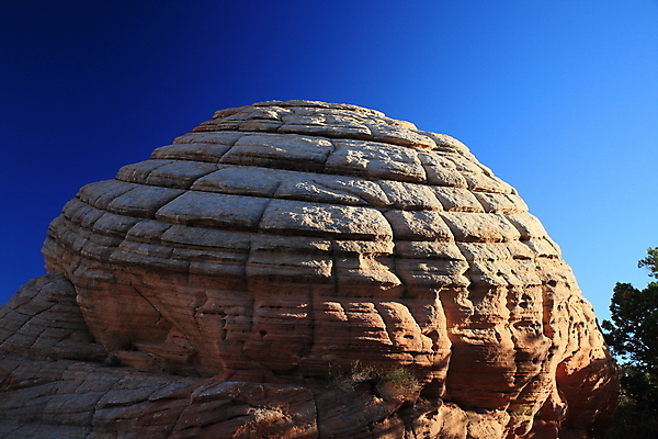 포토 JPG 해외이미지 구름 야생동물 파도 여행 북아메리카 자연 하늘 산 건조 사탕 풍경 사람없음 빨간색 파란색 컬러풀 노란색 일출 미국 절벽 사막 바위 황무지 플랫 언덕 부식 사암 내추럴 고립 취급주의 해외202105 해외포토 자연요소 동물 바다 컬러 디저트 아메리카 경고 노을 돌_바위 생태계 파일형식