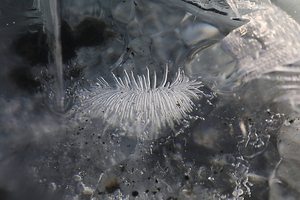포토 JPG 해외이미지 구름 유럽 모래 파도 바다 여행 백그라운드 자연 하늘 산 파노라마 아이슬란드 사람없음 물 파란색 빛 일출 냉동 얼음 검은색 추위 흰색 시원함 크리스탈 북극 큐브 빙하 용암 빙산 북쪽 거인 석호 발견 내추럴 해외202105 해외포토 자연요소 나라 컬러 촬영기법 노을 광석 극지방 방향 생태계 파일형식