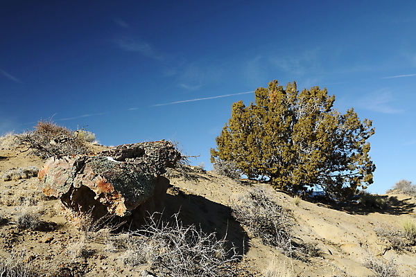 포토 JPG 해외이미지 구름 자연 벽지 하늘 풍경 사람없음 야외 가로 빨간색 컬러풀 검은색 미국 버섯 침묵 고요 황혼 하이킹 사막 바위 황무지 장면 사암 뉴멕시코 특별함 해외202105 해외포토 자연요소 컬러 컨셉 북아메리카 레저 소리 일몰 돌_바위 생태계 파일형식