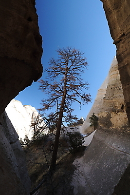 포토 JPG 해외이미지 모양 모래 산 멕시코 건조 텐트 풍경 사람없음 파란색 컬러풀 운동 골짜기 절벽 하이킹 사막 바위 흰색 부식 피라미드 좁은 사암 원뿔 목각 천연기념물 강렬 뉴멕시코 서쪽 전국 절정 흥미 해외202105 해외포토 도형 건축물 컬러 컨셉 북아메리카 자연 레저 건강 캠핑도구 돌_바위 방향 랜드마크 파일형식