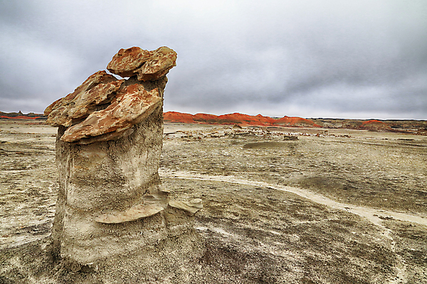 포토 JPG 해외이미지 구름 여행 자연 벽지 하늘 건조 풍경 사람없음 야외 가로 빨간색 컬러풀 검은색 미국 버섯 침묵 고요 황혼 하이킹 사막 바위 황무지 장면 사암 뉴멕시코 특별함 해외202105 해외포토 자연요소 컬러 컨셉 북아메리카 레저 소리 일몰 돌_바위 생태계 파일형식