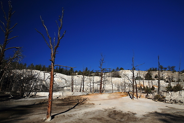 포토 JPG 해외이미지 공원 여행 오렌지 자연 산 풍경 사람없음 야외 물 여름 갈색 노란색 환경 골짜기 계곡 미국 페인트 봄 폭포 뜨거움 팔레트 화산 장면 지역 암초 멸종위기동물 내추럴 매머드 생태학 오아시스 와이오밍 전국 지열 지진 해외202105 해외포토 자연요소 동물 계절 공공시설 교육 컬러 북아메리카 과일 자연재해 생태계 파일형식 멸종위기종