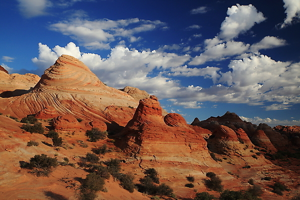 포토 JPG 해외이미지 파도 패턴 오렌지 건조 풍경 사람없음 야외 가로 빨간색 파란색 컬러풀 반사 노란색 계단 골짜기 미국 바위 시골 황무지 부식 호기심 사암 애리조나 천연기념물 서쪽 전국 지질학 통일 특별함 해외202105 해외포토 교육 감정 바다 컬러 컨셉 북아메리카 무늬 과일 자연 돌_바위 방향 파일형식