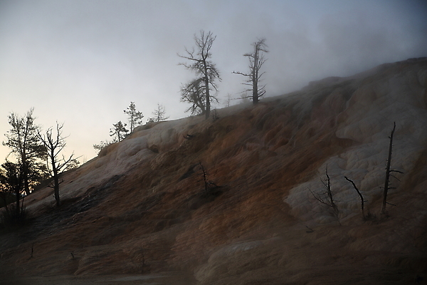 포토 JPG 해외이미지 공원 여행 오렌지 자연 산 풍경 사람없음 야외 물 여름 갈색 노란색 환경 골짜기 계곡 미국 페인트 봄 폭포 뜨거움 팔레트 화산 장면 지역 암초 멸종위기동물 내추럴 매머드 생태학 오아시스 와이오밍 전국 지열 지진 해외202105 해외포토 자연요소 동물 계절 공공시설 교육 컬러 북아메리카 과일 자연재해 생태계 파일형식 멸종위기종