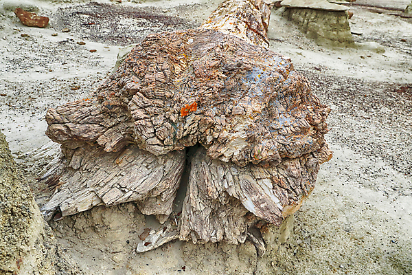 포토 JPG 해외이미지 구름 여행 자연 벽지 하늘 건조 풍경 사람없음 야외 가로 빨간색 컬러풀 검은색 미국 버섯 침묵 고요 황혼 하이킹 사막 바위 황무지 장면 사암 뉴멕시코 특별함 해외202105 해외포토 자연요소 컬러 컨셉 북아메리카 레저 소리 일몰 돌_바위 생태계 파일형식