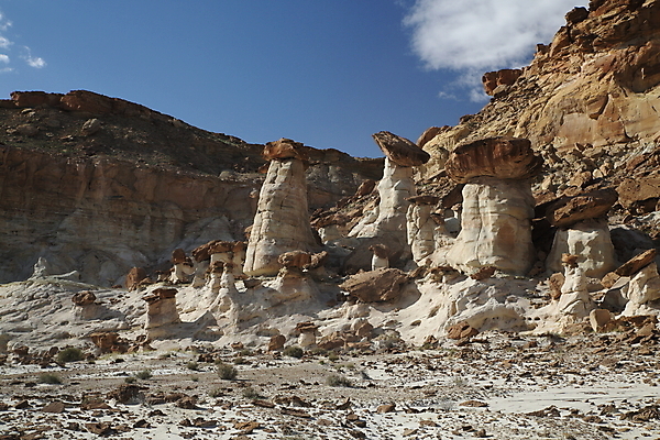 포토 JPG 해외이미지 북아메리카 자연 항해 풍경 사람없음 야외 빨간색 파란색 갈색 골짜기 미국 절벽 사막 흰색 기둥 부식 암초 사암 거인 지질학 막 해외202105 해외포토 교육 건축 컬러 배_교통 아메리카 돌_바위 생태계 파일형식