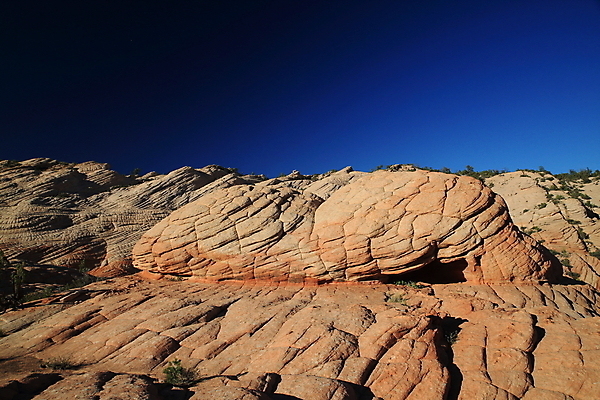 포토 JPG 해외이미지 구름 야생동물 파도 여행 북아메리카 자연 하늘 산 건조 사탕 풍경 사람없음 빨간색 파란색 컬러풀 노란색 일출 미국 절벽 사막 바위 황무지 플랫 언덕 부식 사암 내추럴 고립 취급주의 해외202105 해외포토 자연요소 동물 바다 컬러 디저트 아메리카 경고 노을 돌_바위 생태계 파일형식