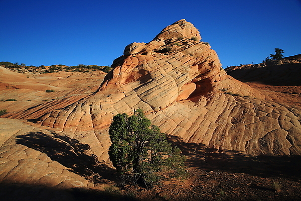포토 JPG 해외이미지 구름 야생동물 파도 여행 북아메리카 자연 하늘 산 건조 사탕 풍경 사람없음 빨간색 파란색 컬러풀 노란색 일출 미국 절벽 사막 바위 황무지 플랫 언덕 부식 사암 내추럴 고립 취급주의 해외202105 해외포토 자연요소 동물 바다 컬러 디저트 아메리카 경고 노을 돌_바위 생태계 파일형식