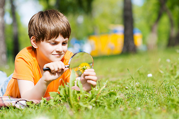 포토 JPG 해외이미지 식물 1 학생 손 응시 교육 남자 행복 어린이 컨셉 자연 유리 놀이 돋보기 건강 한명 미소 사람 소년 취미 야외 초록색 여름 학습 청춘 환경 봄 탐험 관찰 잡기 닫기 확대 검색 호기심 탐사 발견 해외202004 해외202105 해외포토 시선 계절 감정 컬러 모션 재질 표정 신체부위 생태계 파일형식