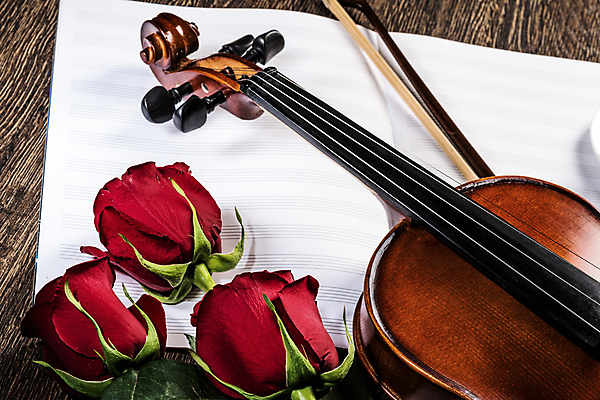 포토 JPG 해외이미지 사람없음 장미 우아함 바이올린 악보 나무바닥 바이올린활 해외202004 해외202105 해외포토 꽃 음악 컨셉 현악기 바닥 파일형식