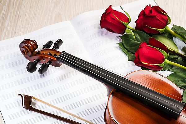 포토 JPG 해외이미지 사람없음 장미 우아함 바이올린 악보 나무바닥 바이올린활 해외202004 해외202105 해외포토 꽃 음악 컨셉 현악기 바닥 파일형식