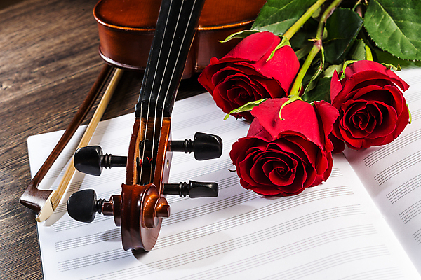 포토 JPG 해외이미지 사람없음 장미 우아함 바이올린 악보 나무바닥 바이올린활 해외202004 해외202105 해외포토 꽃 음악 컨셉 현악기 바닥 파일형식