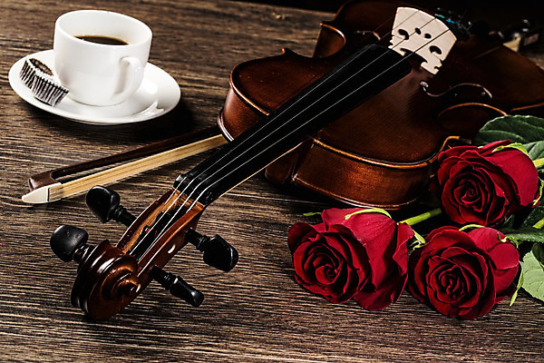 포토 JPG 해외이미지 커피 사람없음 장미 우아함 커피잔 바이올린 나무바닥 바이올린활 차받침대 해외202004 해외202105 해외포토 꽃 음료 컨셉 현악기 잔 바닥 받침대 파일형식