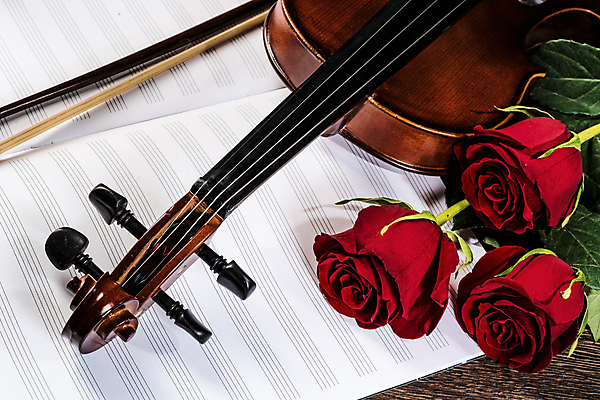 포토 JPG 해외이미지 사람없음 장미 우아함 바이올린 악보 나무바닥 바이올린활 해외202004 해외202105 해외포토 꽃 음악 컨셉 현악기 바닥 파일형식