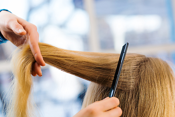 포토 JPG 해외이미지 백인 직업 헤어스타일 여자 비즈니스 손가락 관리 한명 사람 20대 성인 머리 유행 상점 머리빗 업무 미용사 이발 자르기 고객 손질 돌봄 스타일리스트 이발사 스타일 해외202004 해외202105 해외포토 서양인 1 손 모션 청년 신체부위 미용용품 작업 파일형식