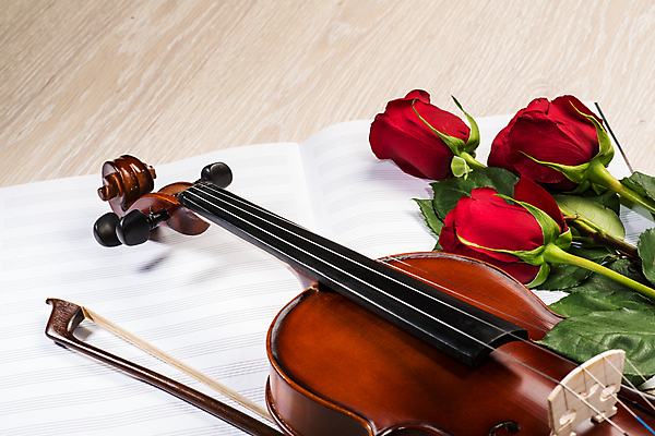 포토 JPG 해외이미지 사람없음 장미 우아함 바이올린 악보 나무바닥 바이올린활 해외202004 해외202105 해외포토 꽃 음악 컨셉 현악기 바닥 파일형식
