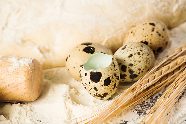 포토 JPG 해외이미지 음식 빵 백그라운드 농업 공 탁자 피자 건강 요리 사람없음 목재 갈색 쿠키 케이크 주방 계란 식사 카페 빵집 껍질 흰색 시골 신선 바 맛 아침식사 낟알 시리얼 굽기 먹기 준비 반죽 보리 롤 밀가루 가뭄 레시피 성분 방앗간 메추리 이스트 페스츄리 핸드메이드 해외202004 해외202105 해외포토 나무 산업 컬러 가구 컨셉 재료 모션 날씨 디저트 곡류 패스트푸드 서양음식 상점 알 가루 구이 파일형식