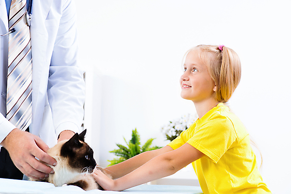 포토 JPG 해외이미지 동물 백인 직업 라이프스타일 여자 어린이 백그라운드 청진기 수염 실내 건강 병원 사랑 한명 사람 성인 치료 반려동물 약 고양이 방 고통 장비 의사 흰색 잡기 가운 수의사 돌봄 제어 해외202004 해외202105 해외포토 서양인 1 옷 감정 컬러 포유류 의학 의료기기 모션 내부 생활 의료진 파일형식