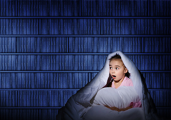 포토 JPG 해외이미지 어린이 컨셉 상상 동화 이야기 그림자 한명 빛 검은색 어둠 꿈 할로윈 덮개 침대 손전등 보호 유령 야간 무서움 담요 공포 공상 언니 나쁜 악몽 오해 취침시간 호러 가상 오싹 해외202004 해외202105 해외포토 자연요소 1 감정 컬러 가구 가족 조명 사람 뚜껑 자매 파일형식