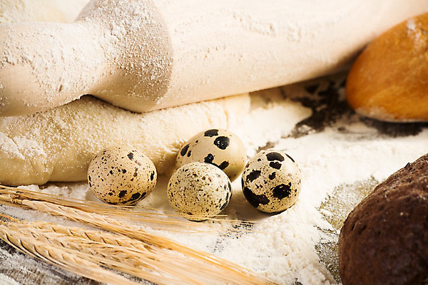 포토 JPG 해외이미지 실내 근접촬영 사람없음 밀 반죽 밀가루 제빵 메추리알 반죽밀대 해외202004 해외202105 해외포토 뷰포인트 곡류 내부 제과제빵 알 가루 밀대 파일형식