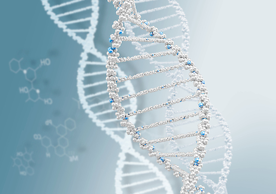 포토 JPG 해외이미지 과학 백그라운드 신체 일러스트 해부 추상 세포 나선형 건강 실험 사람 사람없음 약 3D 진화 닫기 질병 DNA 생명공학 약국 생물학 원자 미생물 염색체 조제 더블 바이오 복제 유전 해외202004 해외202105 해외포토 교육 무늬 의학 모션 생물 소방 디지털합성 만들기 파일형식