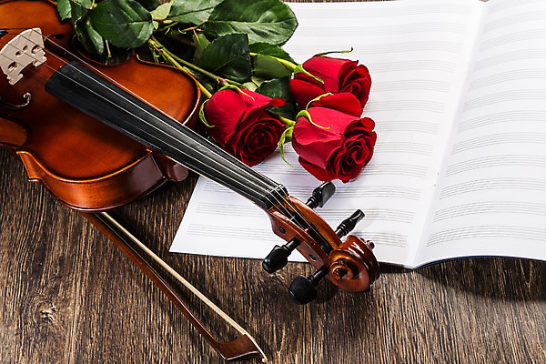 포토 JPG 해외이미지 사람없음 장미 우아함 바이올린 악보 나무바닥 바이올린활 해외202004 해외202105 해외포토 꽃 음악 컨셉 현악기 바닥 파일형식