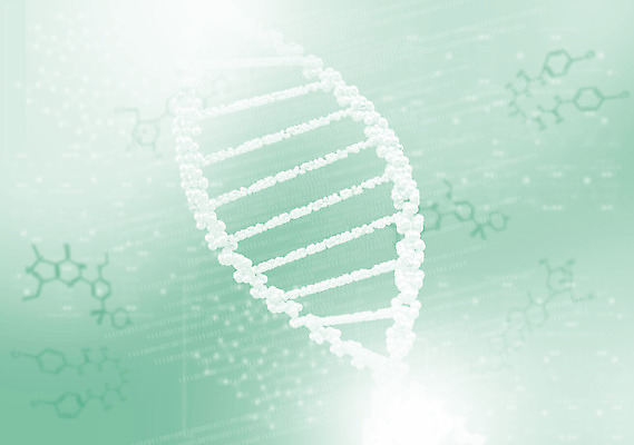 포토 JPG 해외이미지 과학 백그라운드 신체 일러스트 해부 추상 세포 나선형 건강 실험 사람 사람없음 약 3D 진화 닫기 질병 DNA 생명공학 약국 생물학 원자 미생물 염색체 조제 더블 바이오 복제 유전 해외202004 해외202105 해외포토 교육 무늬 의학 모션 생물 소방 디지털합성 만들기 파일형식