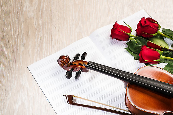 포토 JPG 해외이미지 사람없음 장미 우아함 바이올린 악보 나무바닥 바이올린활 해외202004 해외202105 해외포토 꽃 음악 컨셉 현악기 바닥 파일형식