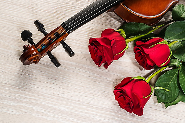 포토 JPG 해외이미지 기념일 꽃 종이 줄 음악 백그라운드 컨셉 노래 아이디어 발렌타인데이 사랑 미술 사람없음 목재 책 빨간색 장미 검은색 화목 소리 낭만 수확 골동품 기구 끈 클래식 바이올린 활 복고 팔 오케스트라 구성 멜로디 뮤지컬 바로크 옛날 스타일 해외202004 해외202105 해외포토 나무 식물 감정 컬러 농업 재료 데이이벤트 현악기 문화예술 이벤트 신체부위 악단 파일형식