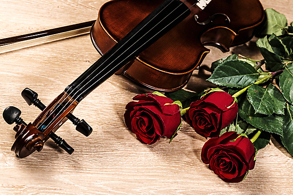 포토 JPG 해외이미지 무료이미지 기념일 꽃 종이 줄 음악 백그라운드 컨셉 노래 아이디어 발렌타인데이 사랑 미술 사람없음 목재 책 빨간색 장미 검은색 화목 소리 낭만 수확 골동품 기구 끈 클래식 바이올린 활 복고 팔 오케스트라 구성 멜로디 뮤지컬 바로크 옛날 스타일 해외202004 해외202105 해외포토 나무 식물 감정 컬러 농업 재료 데이이벤트 현악기 문화예술 이벤트 신체부위 악단 파일형식