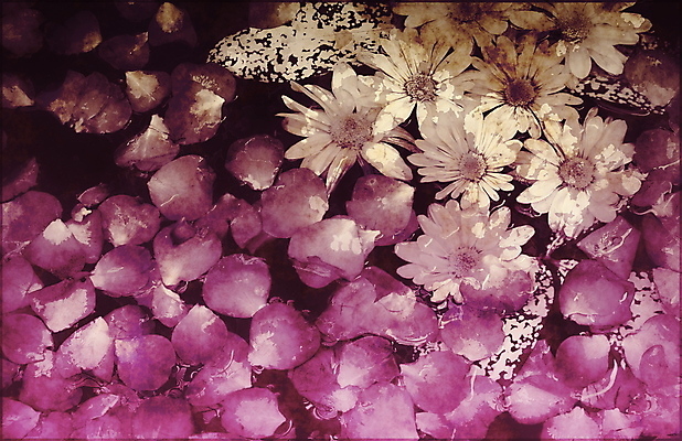 포토 JPG 해외이미지 꽃 아시아 선 백그라운드 꽃무늬 일러스트 자연 추상 연꽃 동양인 사람없음 물 유행 스파 화목 침묵 고요 수확 마사지 우아함 백합 명상 그림 내추럴 구식 그런지 옛날 테마 해외202004 해외202105 해외포토 자연요소 식물 나라 컨셉 무늬 농업 인종 소리 생태계 파일형식