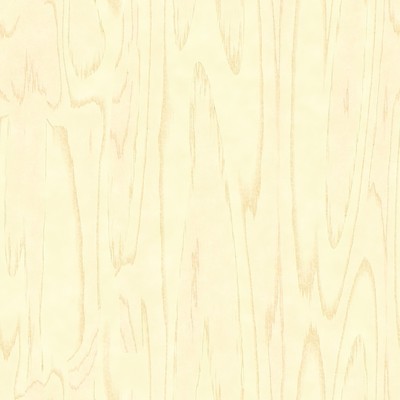 포토 JPG 해외이미지 백그라운드 표면 바닥 사람없음 목재 나뭇결 합판 해외202004 해외202105 해외포토 나무 재료 파일형식