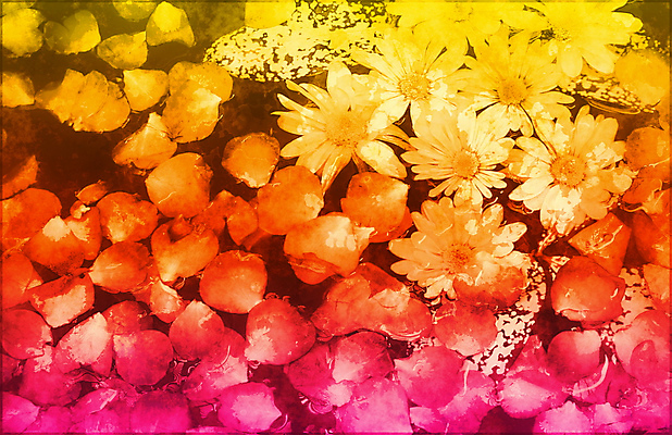 포토 JPG 해외이미지 식물 디자인 꽃잎 꽃 백그라운드 잎 꽃무늬 일러스트 자연 벽지 사람없음 그래픽 장식 희망 페인트 벚꽃 신용카드 그리기 개화 그림 질감 공상 그런지 엘리먼트 정교 타격 스타일 쓰다듬기 카피스페이스 해외202004 해외202105 해외포토 감정 무늬 모션 금융 공백 생태계 파일형식