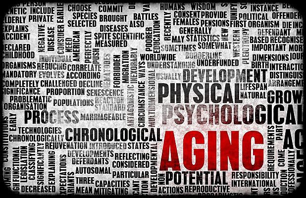 포토 JPG 해외이미지 노년 포스터 컨셉 추상 함께함 사람 사람없음 컬러풀 성장 도움 네트워크 시민 축적 개발 방법 소셜 옛날 지원 노화 해외202004 해외202105 해외포토 컬러 무늬 성인 국민 파일형식